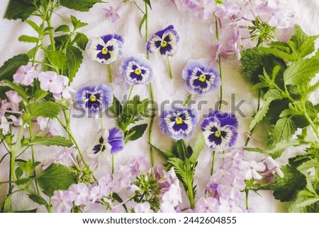 Creative Garden Flower Photograph of Purple Pansies with Lavender Phlox and Mint, Sweet Cottage Garden Aesthetic Photo of Backyard Flowers 