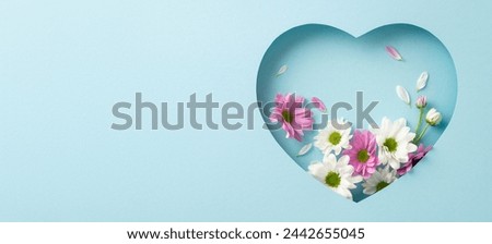 Sophisticated Mother's Day scene from top view, displaying fresh blooming chrysanthemums within a heart-shaped frame on a soft blue background, space for custom messages