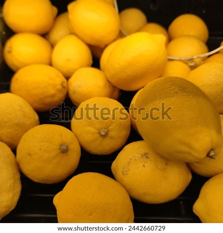 Big lemon in the supermarket
