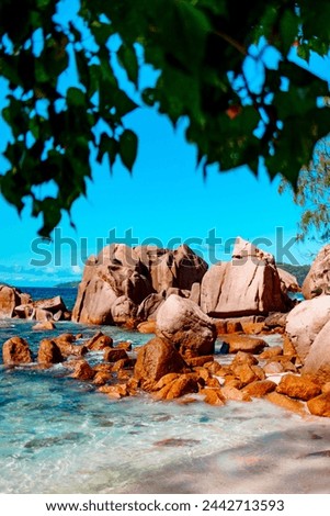 picturesque bright sunset landscape beach in Seychelles, nature vertical background