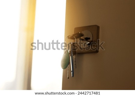 Bunch of different metal keys in lock of new entrance door of house or office, on the outside, safety, open door, security, privacy. Concept of real estate or renting home with sunlight, copy space. Royalty-Free Stock Photo #2442717481