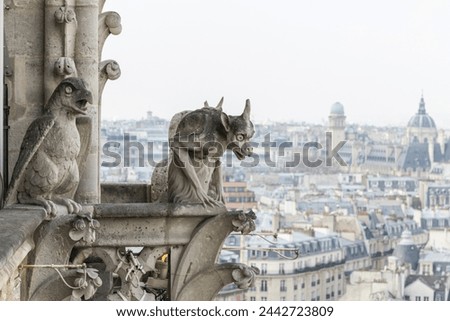 Gargoyle close-up picture on top of Notre Dam de Paris cathedral 