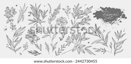Big set of hand drawing vector floral elements. For invitations, catalogs, greeting cards, quotes, blogs, Souvenirs, wedding frames, posters, brochures