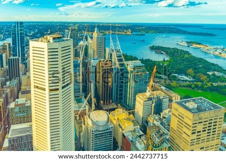 The cityscape and sea of ​​Sydney