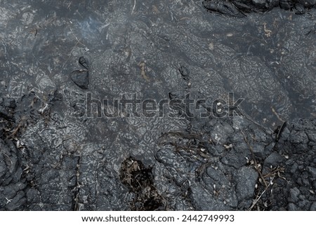 Pool of water with dead plant remains on a black rocky background
