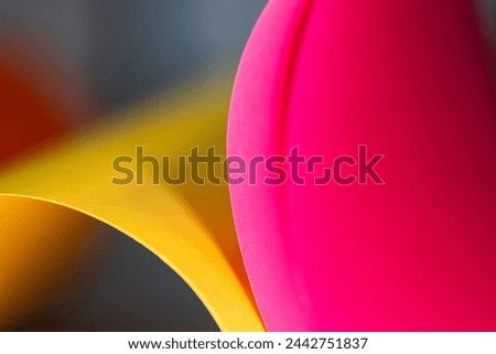 Colorful abstract background. Paper texture. Macro photography. 