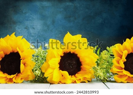Three large beautiful sunflowers against a blue painterly background with copy space. Front view. 