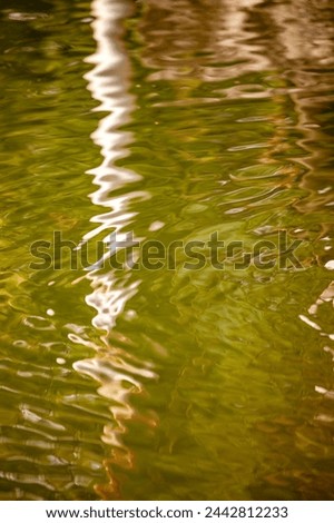 Green lake river water ripples and texture background