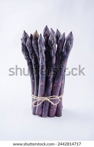 Fresh raw purple asparagus offered as a bundle as close-up on a white background with text space
