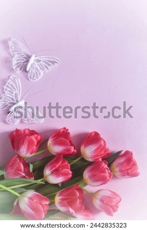 Pink tulips and butterflies on pink vignette background, top view. Mother's day. Valentine's day. Fathers day. Women's day. invitation, vertical banner. Mockup of greeting card. vignette background 
