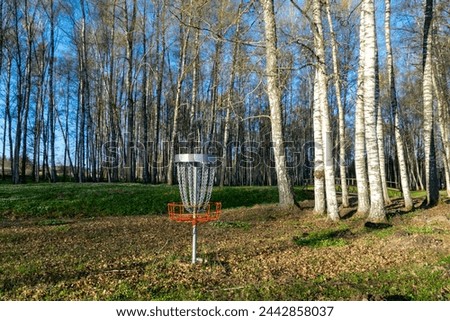 a disc golf hole on green grass with birch grove in background, disc golf basket in a park, spring
