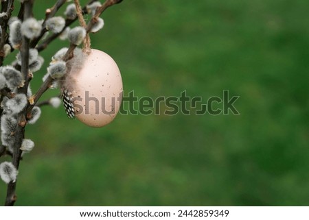Easter egg and willow twig on green nature background, copy space