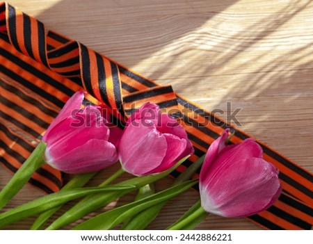 The concept of celebrating Victory Day 1941-1945. St. George's ribbon and tulips . 9th May.