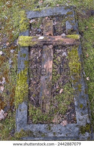 old moss covered Christian grave place in abandoned Latvia countryside forest cemetery. Rotting wooden cross.