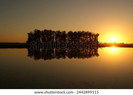 And that beautiful dawn? Deep down, I fear the rising sun, trees, pond reflecting this spectacle of nature. There's also this clay John's nest, making the sunrise even more beautiful. Royalty-Free Stock Photo #2442899115