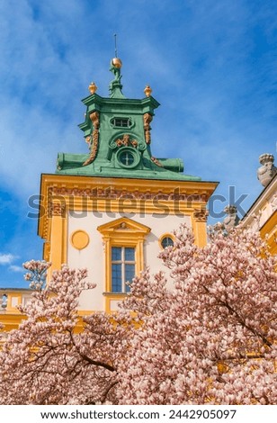 Warszawa, Poland - April 18, 2022: Focus on View of the central facade of the Royal Wilanow Palace in Warsaw, Poland. Spring in the park, magnolia blossoms Royalty-Free Stock Photo #2442905097