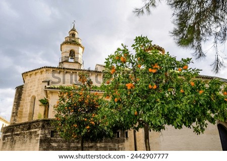 St Mary Magdalene Church is a church in Córdoba, Spain Royalty-Free Stock Photo #2442907777