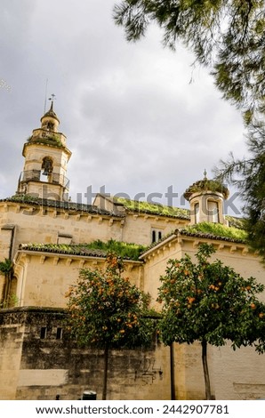 St Mary Magdalene Church is a church in Córdoba, Spain Royalty-Free Stock Photo #2442907781