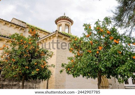St Mary Magdalene Church is a church in Córdoba, Spain Royalty-Free Stock Photo #2442907785