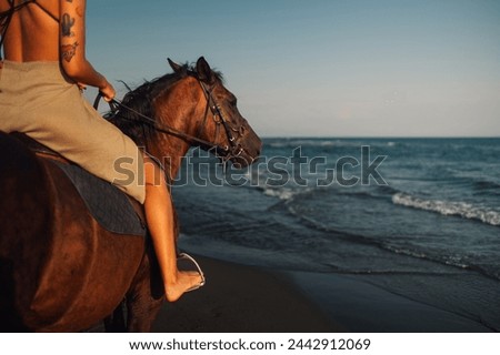 Cropped picture of a tattooed equestrian riding a horse at seaside on beach at sunset. A young attractive woman in seductive dress is horseback riding at the beach near the sea or ocean. Copy space.