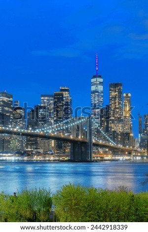 Manhattan skyline illuminated at night in New York City