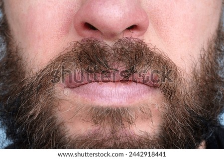 Men's beard. The guy's face is large. Brutal macho. Mustache and beard. Barber. Lumberjack                               Royalty-Free Stock Photo #2442918441