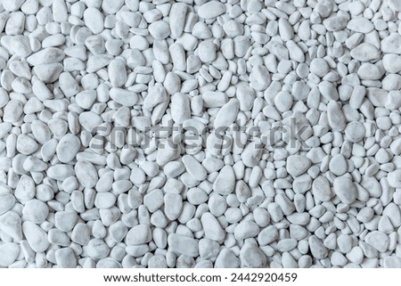 Uniform texture of smooth white pebbles, ideal for serene and minimalistic design backgrounds, natural elements in visual projects. Seamless White stone texture