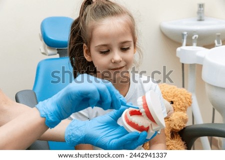 Female dentist teaches a little girl how to brush her teeth properly with jaw model and toothbrush. The concept of oral care. concept of dentistry. children's dentist. plasma structure of the jaw Royalty-Free Stock Photo #2442941337