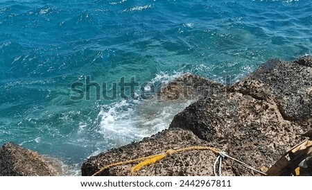 Seawater with some rocks containing some marine organisms Royalty-Free Stock Photo #2442967811
