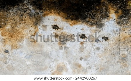 a photography of a fire hydrant in front of a dirty wall.