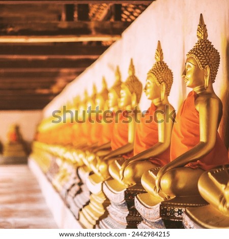 Capture the serenity and spirituality of Buddha Purnima with our evocative images. Explore tranquil scenes, religious rituals, and the timeless wisdom of Lord Buddha's teachings. Royalty-Free Stock Photo #2442984215