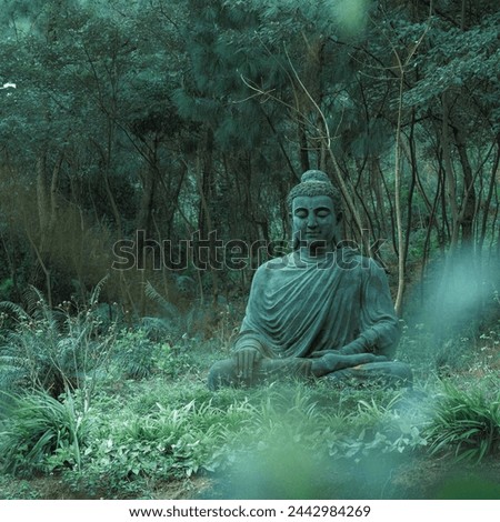Capture the serenity and spirituality of Buddha Purnima with our evocative images. Explore tranquil scenes, religious rituals, and the timeless wisdom of Lord Buddha's teachings. Royalty-Free Stock Photo #2442984269