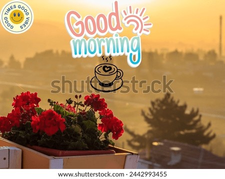 good morning and beautiful background and yellow back ground and flower basket and fresh flowers and yellow wallpaper 