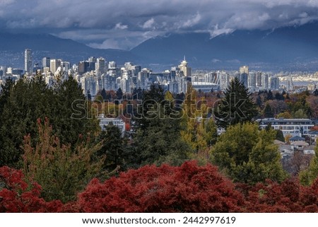 Vancouver city view from Queen Elizabeth Park in autumn Royalty-Free Stock Photo #2442997619