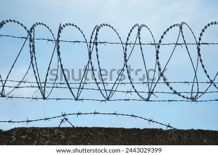 barbed wire Fidget-Alligator against a blue sky.