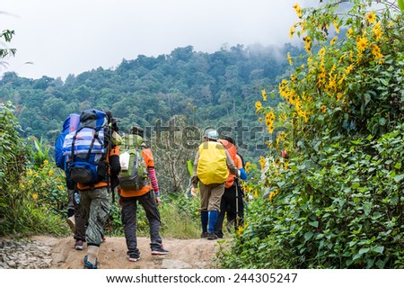 trekking team Royalty-Free Stock Photo #244305247