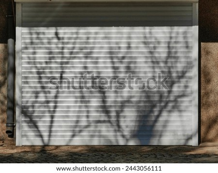 Silhouette symmetry. Shadow tree branches on the white garage door.
