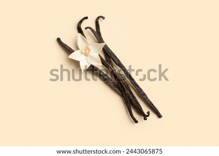 Aromatic vanilla sticks and flower on color background Royalty-Free Stock Photo #2443065875