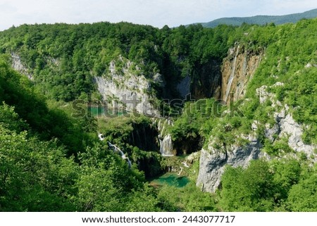 Scenic viewpoint in Plitvice Lakes National Park in Croatia. Unesco protected area. Natural beauty and wonder. Tourist destination. Holidays. Water and waterfalls. Vibrant colors. Sunny and beautiful  Royalty-Free Stock Photo #2443077717