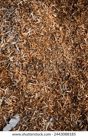Sawdust or wood dust texture background.