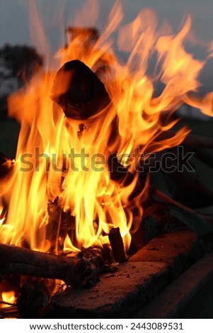 The fire's heart pulses with vibrant hues of orange, red, and yellow, painting intricate patterns of light and shadow upon the earth. Embers dance like fireflies, carried aloft by gentle gusts of wind Royalty-Free Stock Photo #2443089531