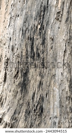 Photo New Texture wood background Close-up Wooden board Texture photography