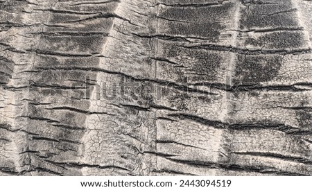 Photo New Texture wood background Close-up Wooden board Texture photography