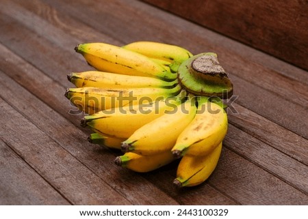 One comb of Pisang Kepok Kuning (musa acuminata) or local yellow banana on a wooden table. bananas that are ripe and ready to be consumed. Indonesian fruit.