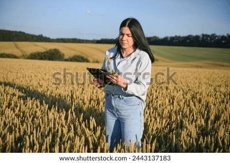 Woman farmer with tablet in a wheat field at sunset
