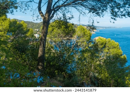 TOSSA DE MAR, CATALONIA, SPAIN: Top view of the sea and mountains Tossa de Mar on a sunny summer day