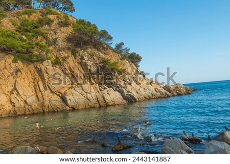 TOSSA DE MAR, CATALONIA, SPAIN: A beautiful small beach between the mountains with rocks near the fortress Tossa de Mar on a sunny summer day