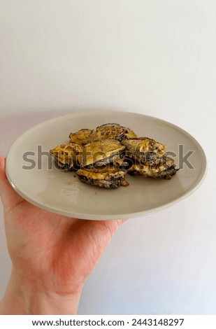 Grilled abalone(ear shell) with butter and salt. Korean food Royalty-Free Stock Photo #2443148297