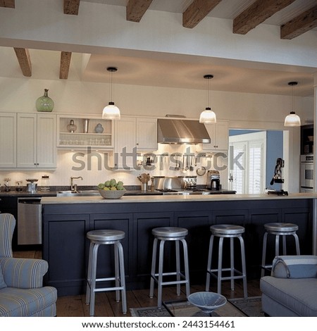 bar concept of modern home kitchen