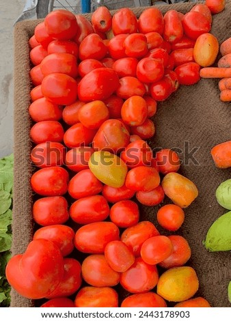 Tomatoes are fruits that are considered vegetables by nutritionists. Botanically, a fruit is a ripened flower ovary and contains seeds. Tomatoes, plums, zucchinis, and melons are all edible fruits Royalty-Free Stock Photo #2443178903